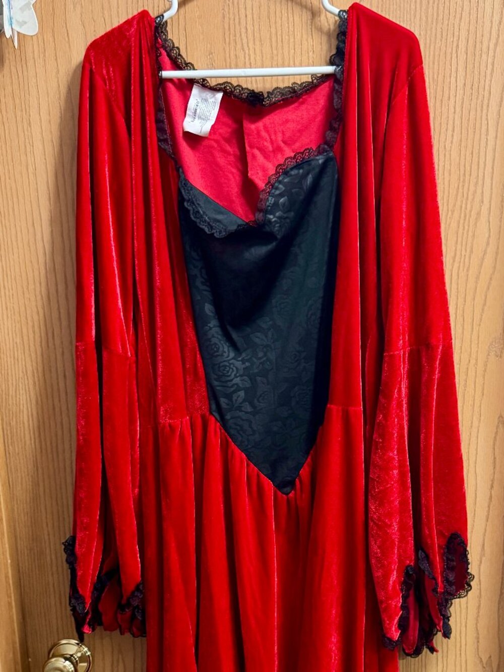 Gothic Vampire / Witch Dress Costume (Sizes 16W-24W) - Fun World
